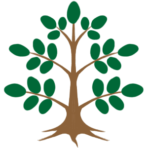 Strong Harvest Moringa Program