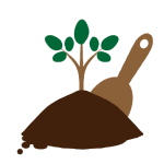 Planting health around the world - Strong Harvest's Moringa Program.