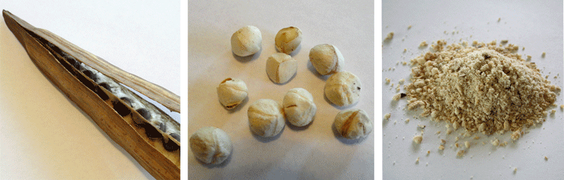 Moringa-Pod-Seeds-Powder