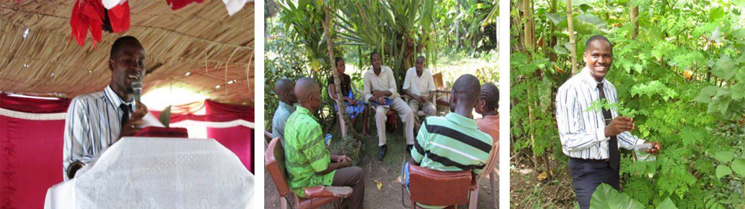 Knowing Moringa in the North of Haiti