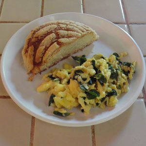 moringa in eggs