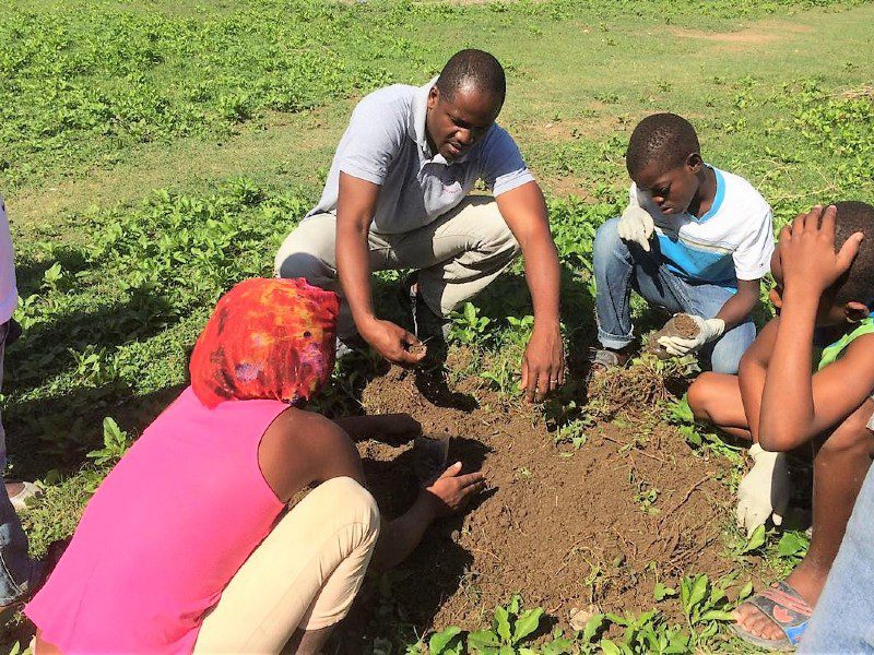 Sharing Moringa with the Kids