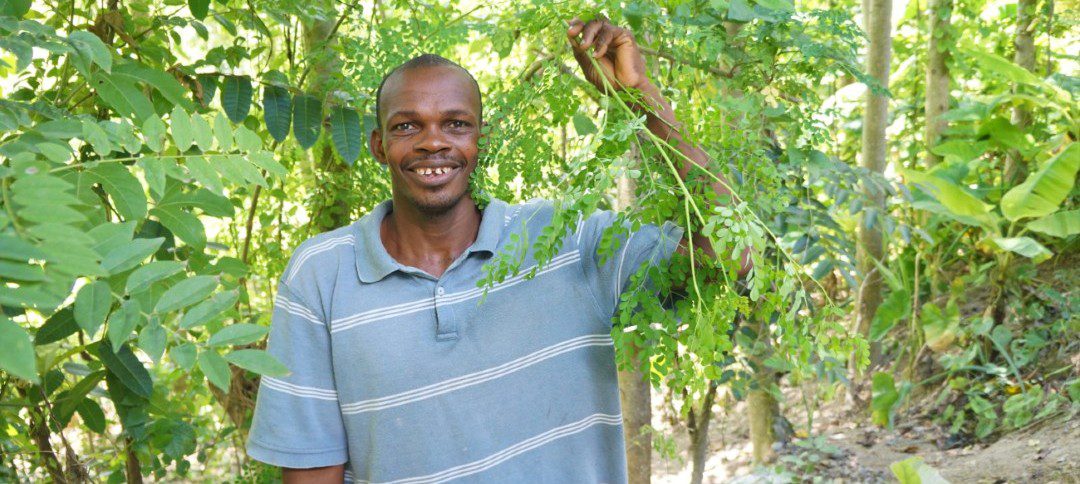 Environmental Abundance: Moringa & the UN Goals (Part 2)