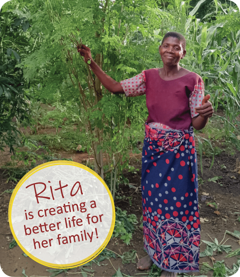 Rita w moringa
