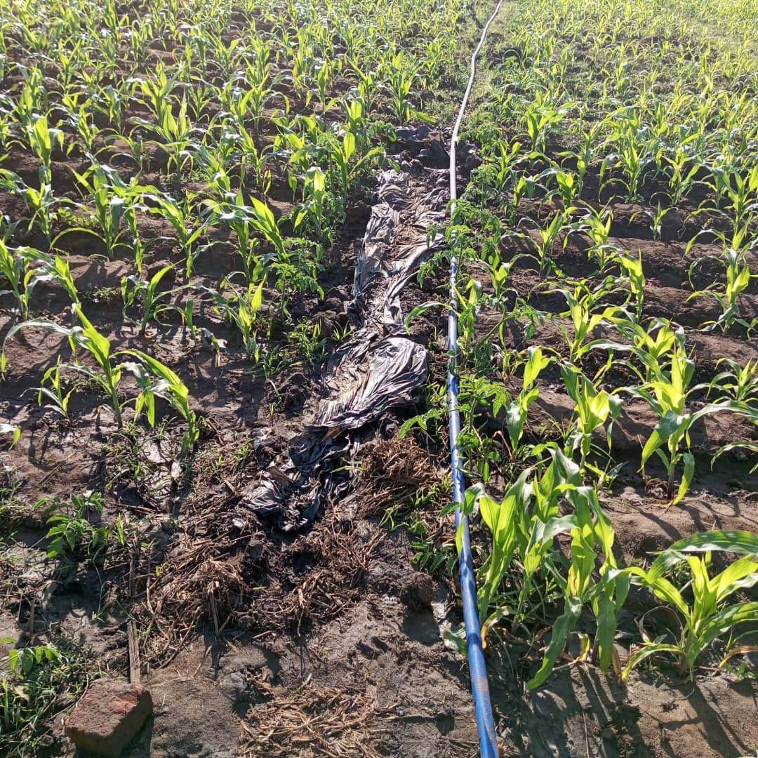 2025 Aug 21 - Irr proj - MW (1)